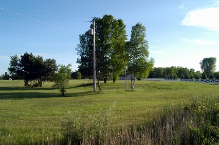 Bay Drive-In Theatre - The Screen Was Near The Trees